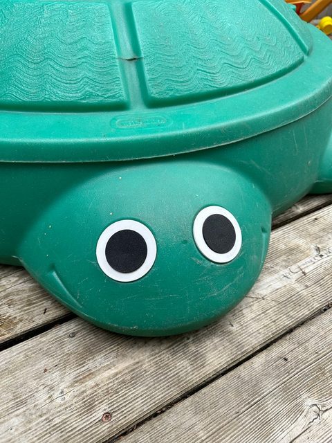 Turtle Sandbox Replacement Eyes